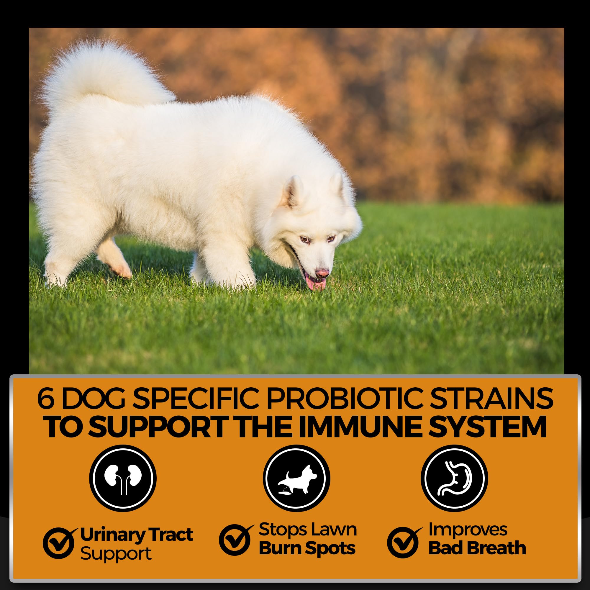 Pet Chef Nutrition USA-made label signals quality and safety you can trust.