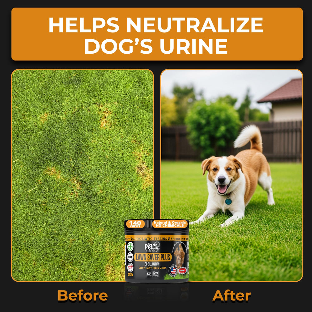 Pet Chef Spirulina Kona Berry ingredients showcase immune-boosting nutrients.