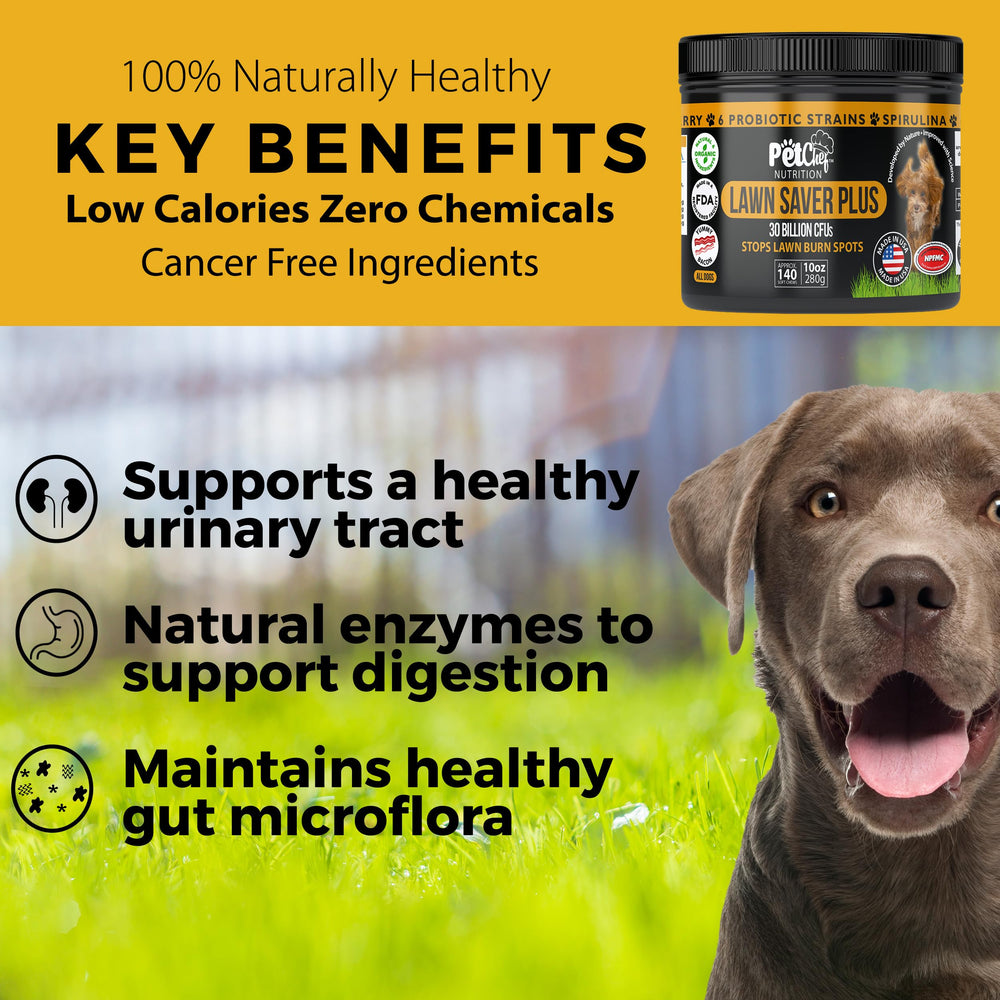Pet Chef Sweet Potato vitamins image emphasizes skin, coat, and eye support.