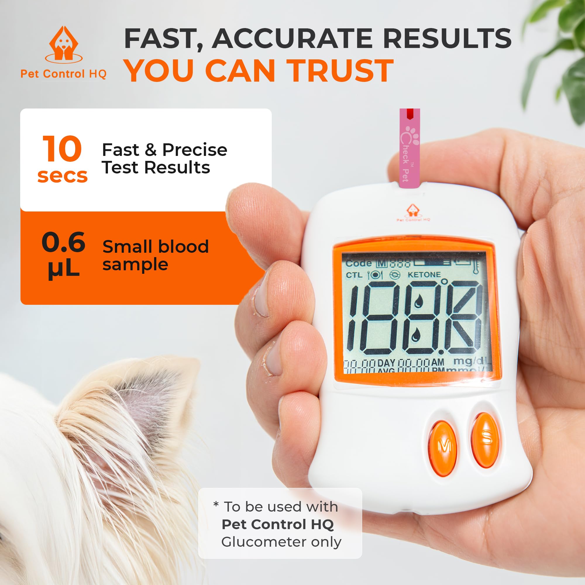 Pet Control HQ at home testing scenario shows calm pet and care