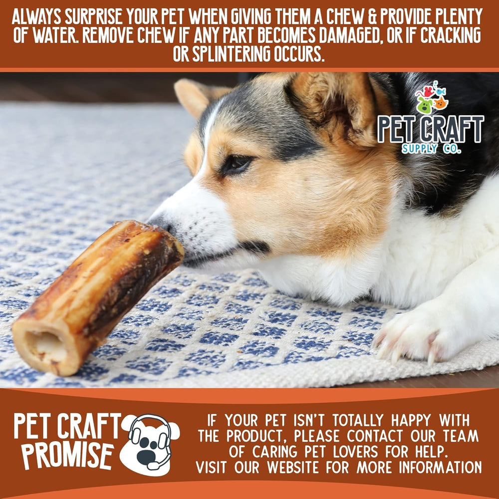 Pet Craft Supply dog chewing action showing durable long-lasting chew