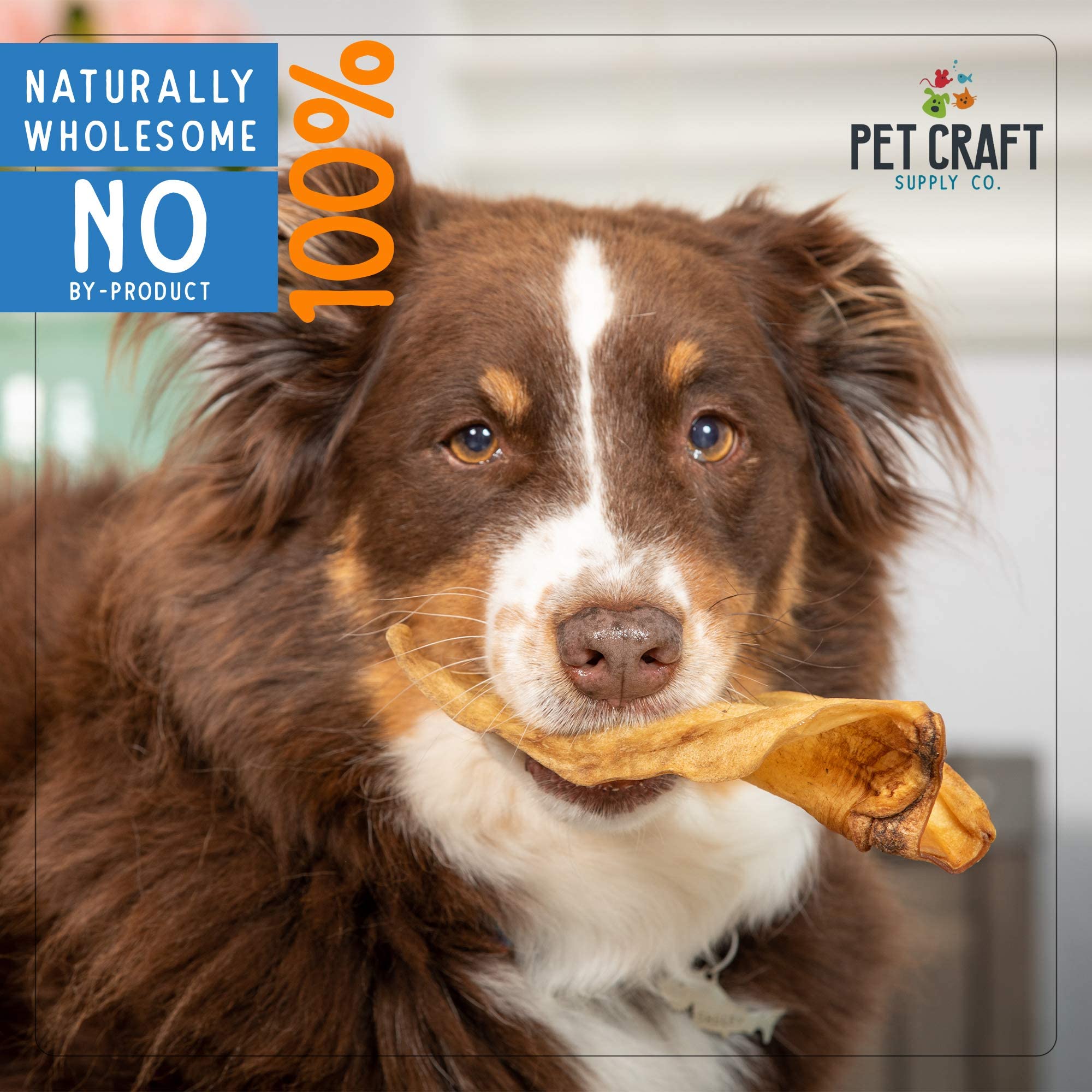 Pet Craft Supply Grass-fed Buffalo Ear closeup suggests premium, safe chew for dogs.