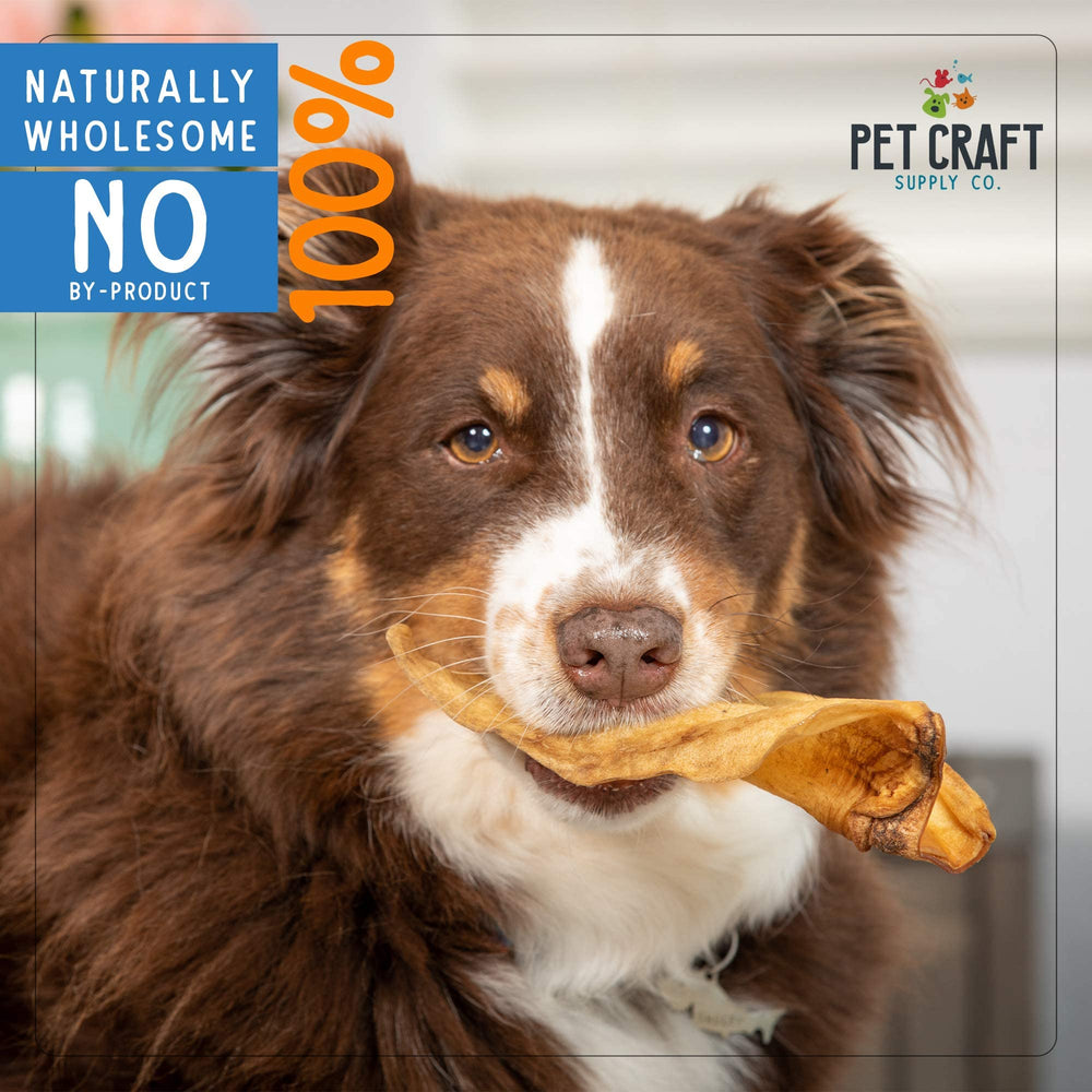Pet Craft Supply Grass-fed Buffalo Ear closeup suggests premium, safe chew for dogs.