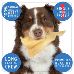 Pet Craft Supply Water Buffalo Ear texture closeup highlights protein-rich, low-fat chew.