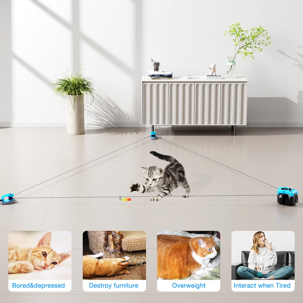 Pet Deluxe rechargeable battery cat toy delivers longer play sessions.