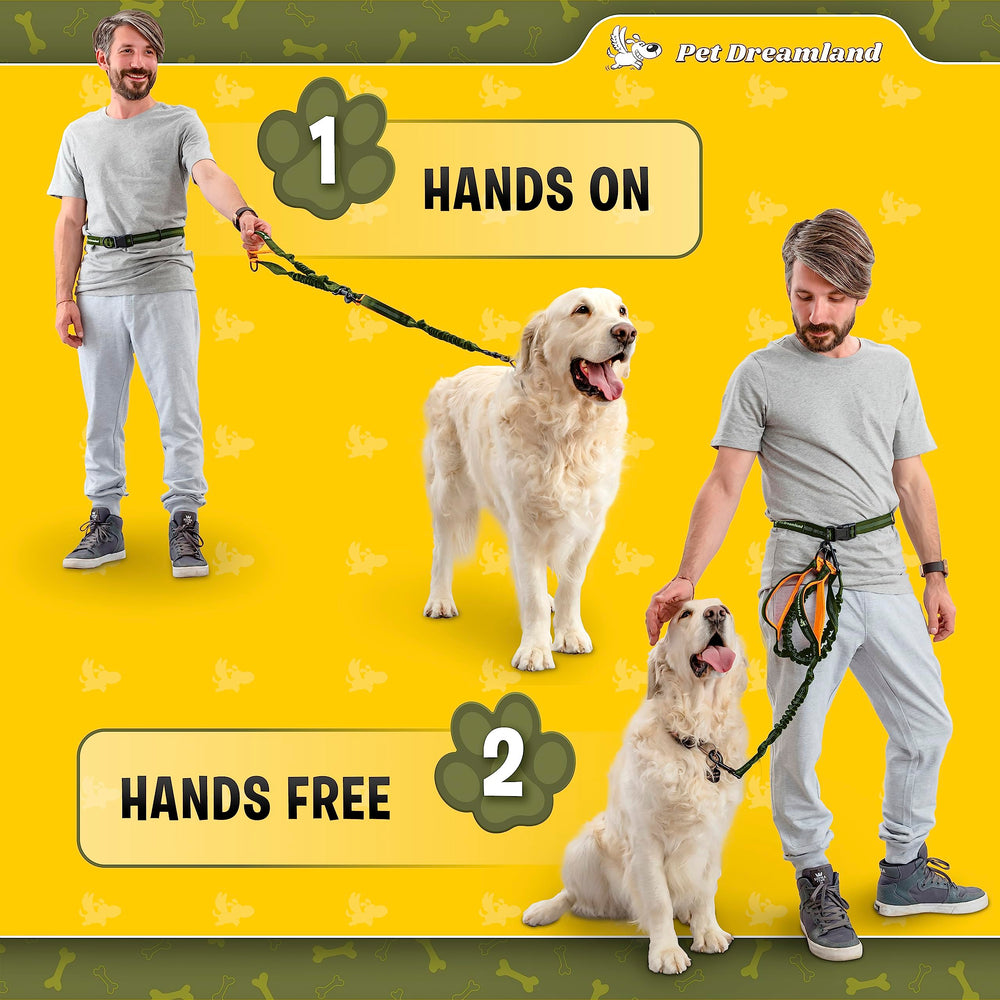 Pet Dreamland weather ready belt suitable for rain or shine walks