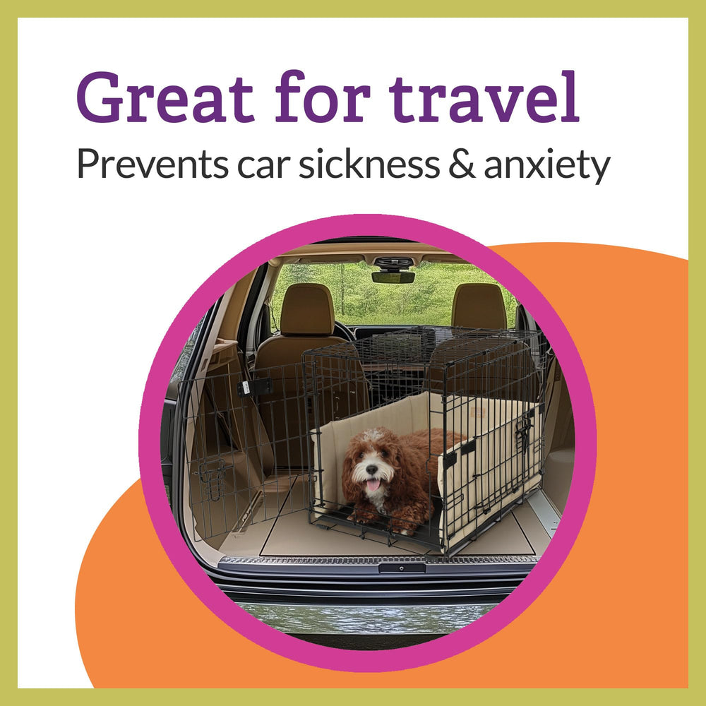 Pet Dreams dense-fiber-grey bumper provides extra cushioning against metal bars.