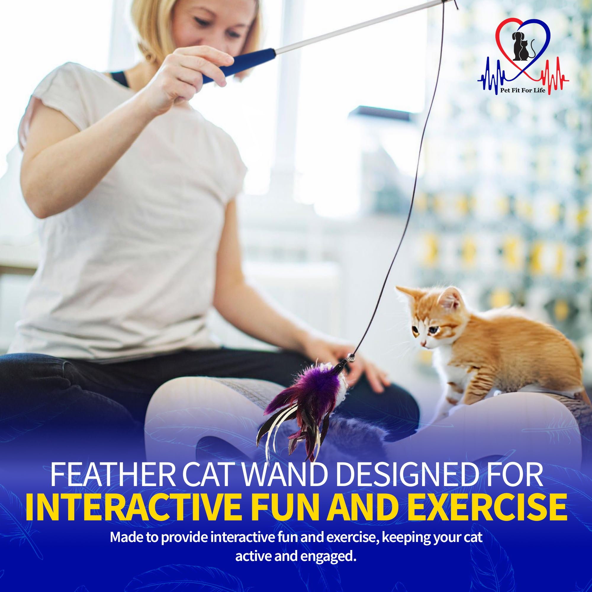 Pet Fit For Life active play helps indoor cats stay agile.