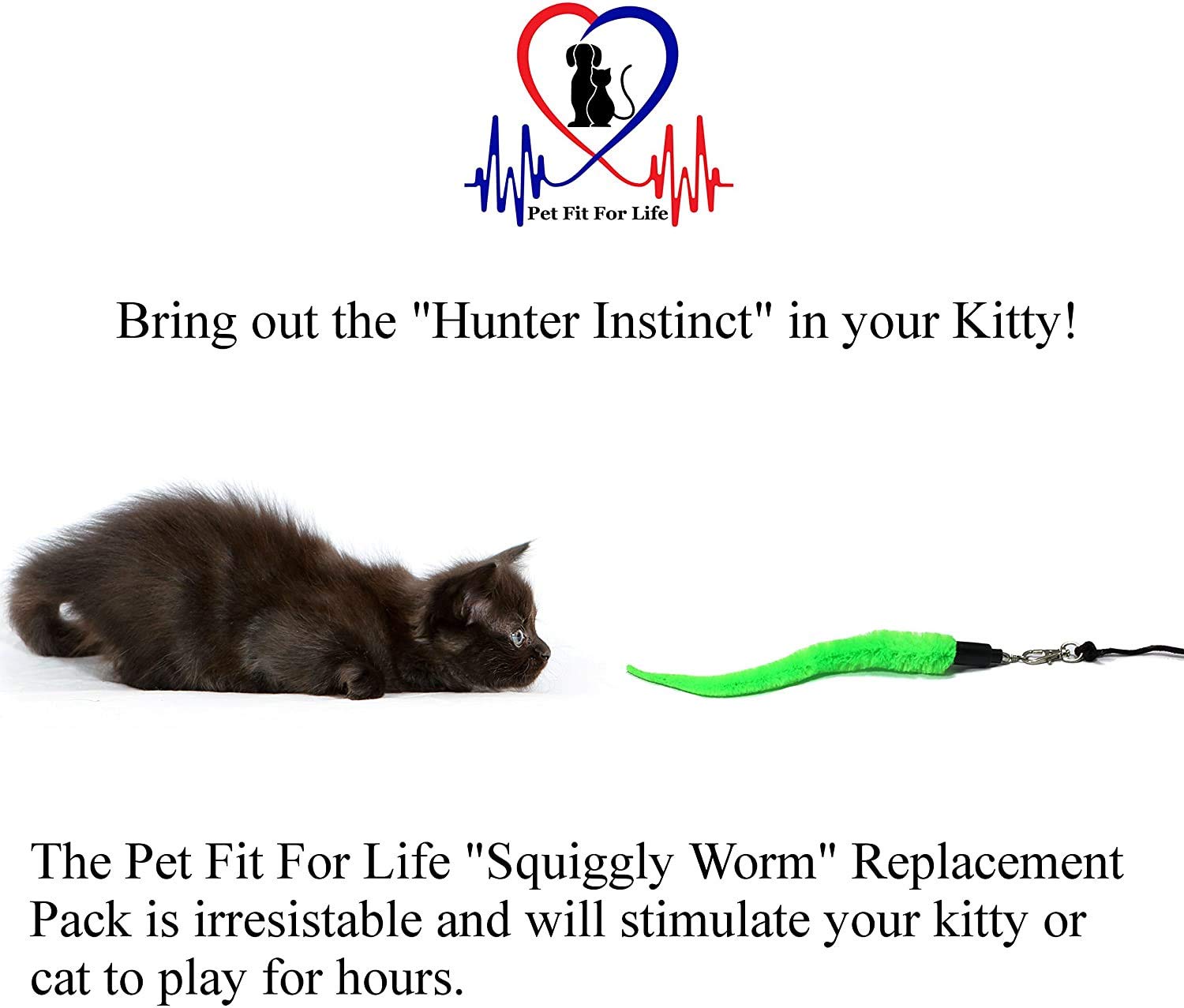 Pet Fit For Life bird wand refill stimulates hunting-style play.