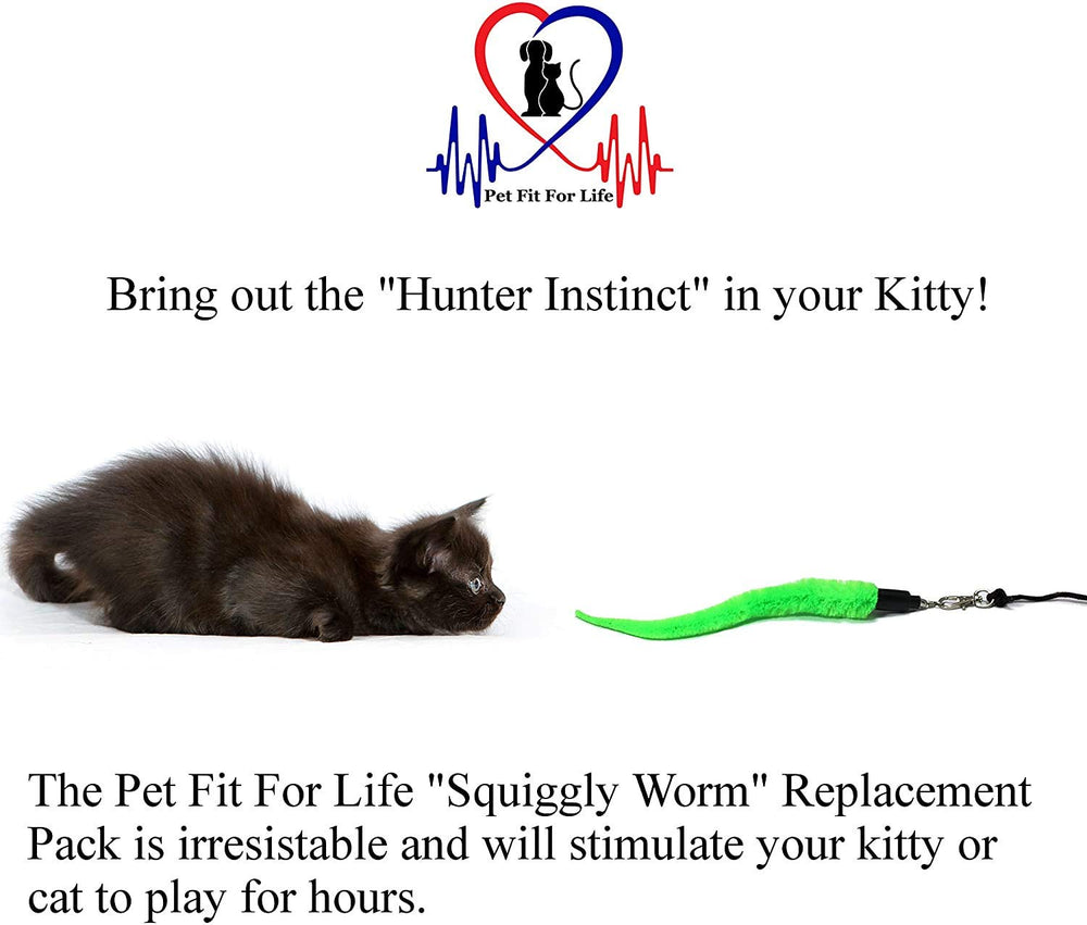 Pet Fit For Life bird wand refill stimulates hunting-style play.