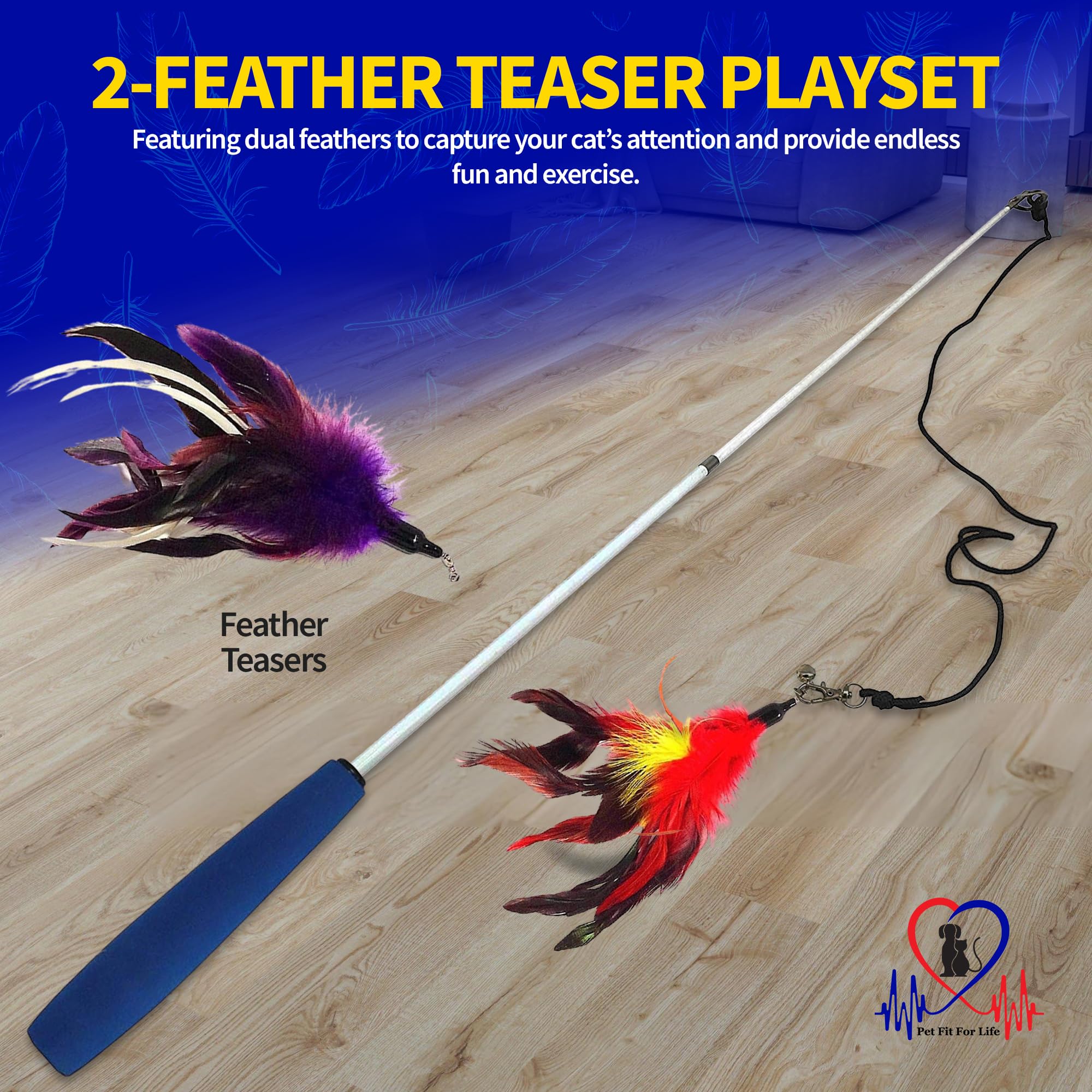 Pet Fit For Life cat wand-in-use shows real-life interactive play scenarios.