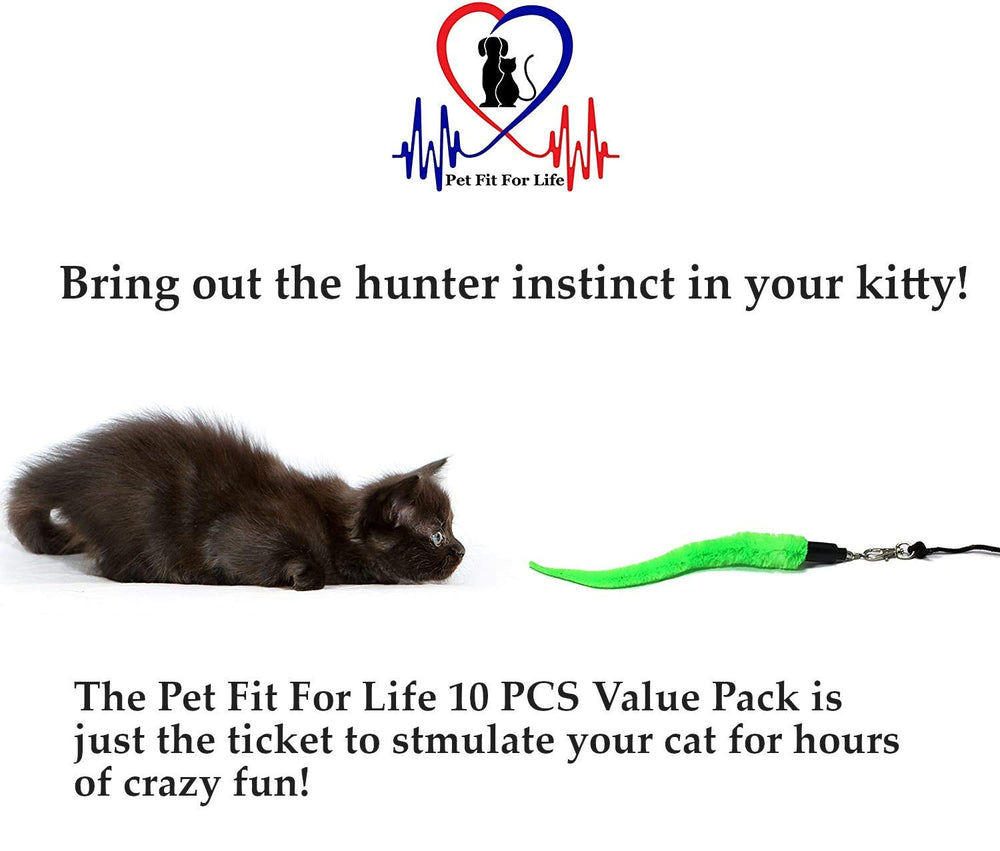Pet Fit For Life indoor-cat-wand in action showcases safe supervised play.