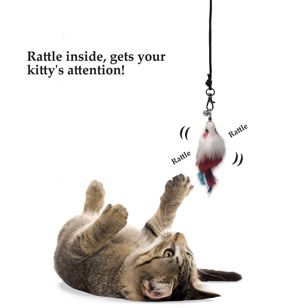 Pet Fit For Life assortment of refills ready for quick feline fun.