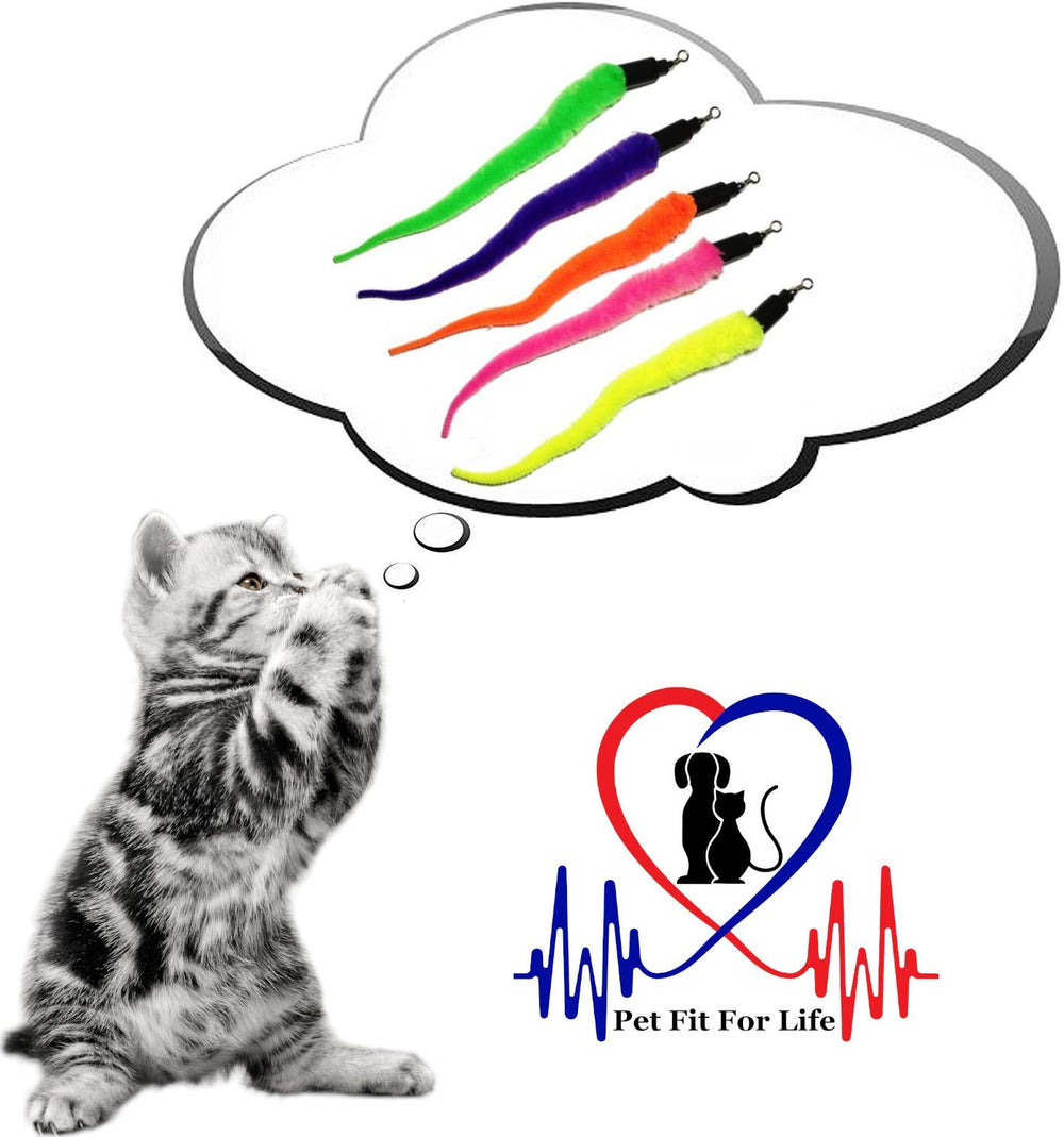 Pet Fit For Life safe storage tip enhances longevity of the toy.