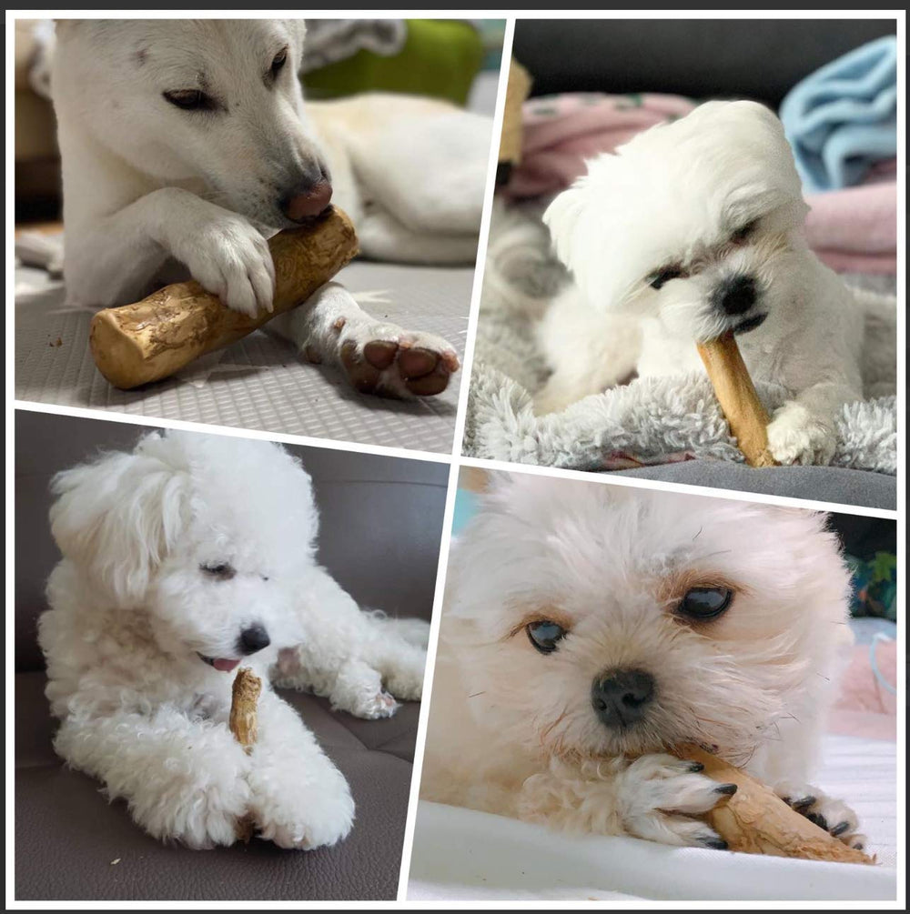 Pet Full House WoofWood dental-friendly design supports mechanical cleaning.