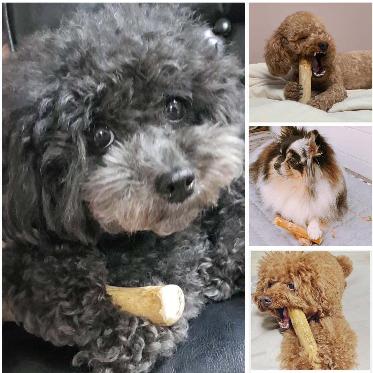 Pet Full House WoofWood pack of two small sticks.