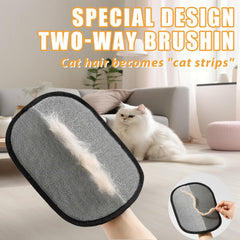 Pet Hair Removal Glove on couch removes pet hair from furniture.