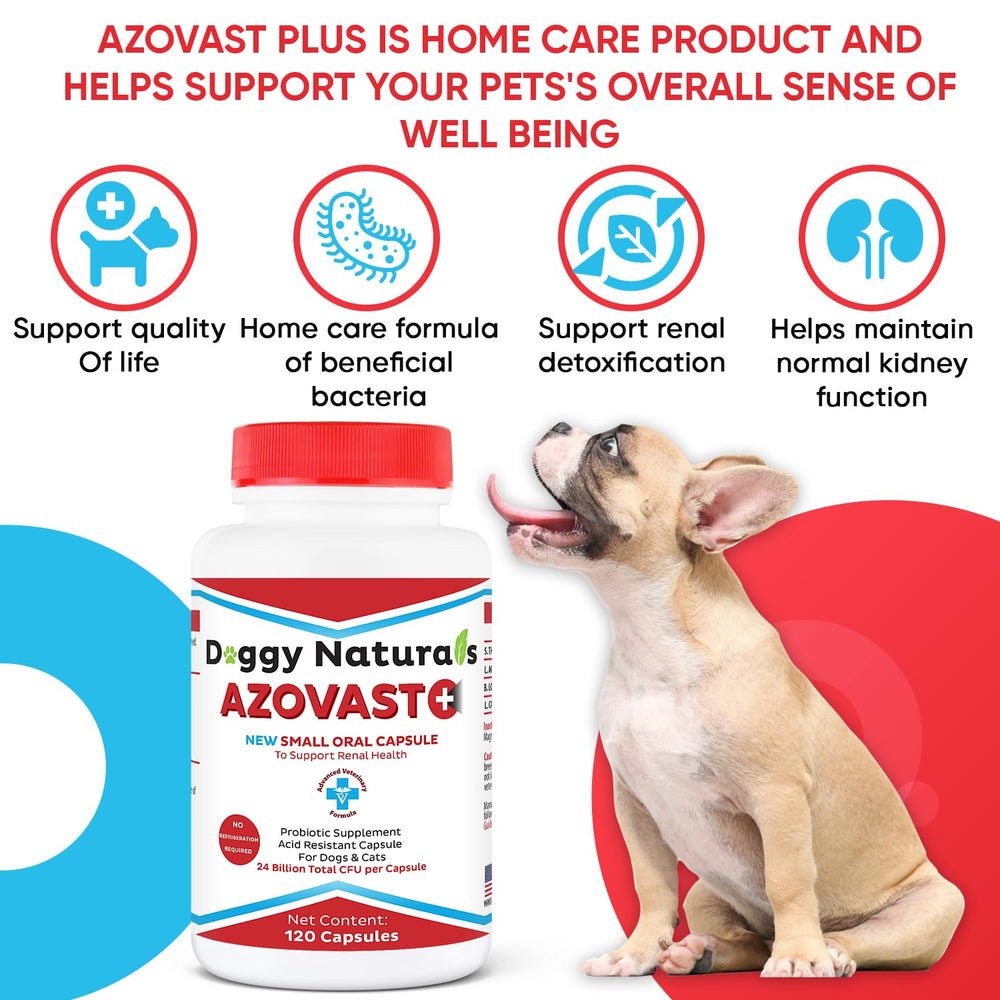 Azovast Plus pills arranged for dosing simplicity to support daily kidney health routines.