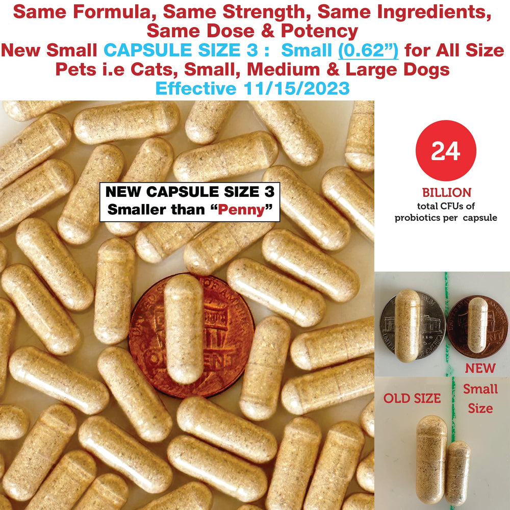 Pet Health Pharma Azovast Plus probiotic blend promoting kidney-friendly gut balance.