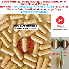 Pet Health Pharma Azovast Plus probiotic blend promoting kidney-friendly gut balance.