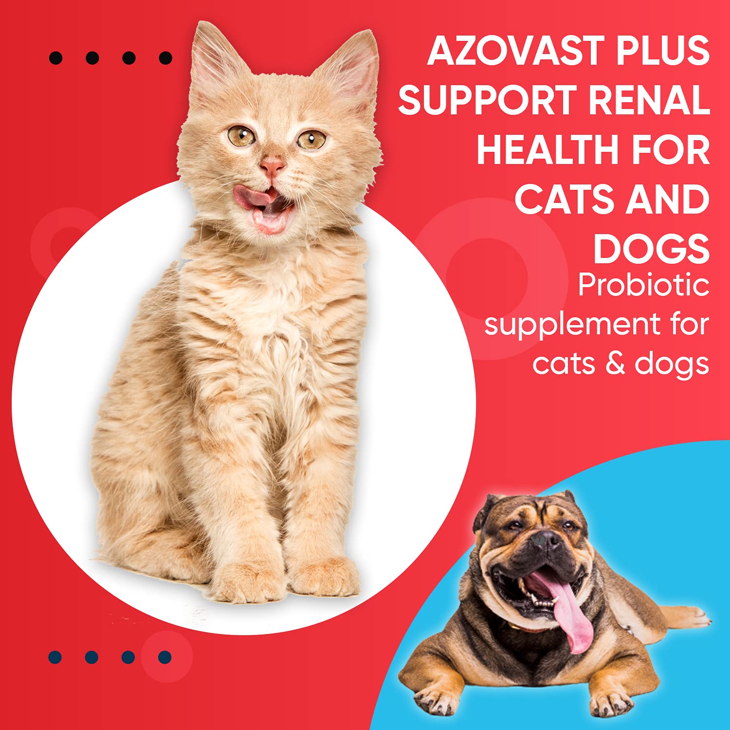 Close-up of probiotic strains listed for Azovast Plus