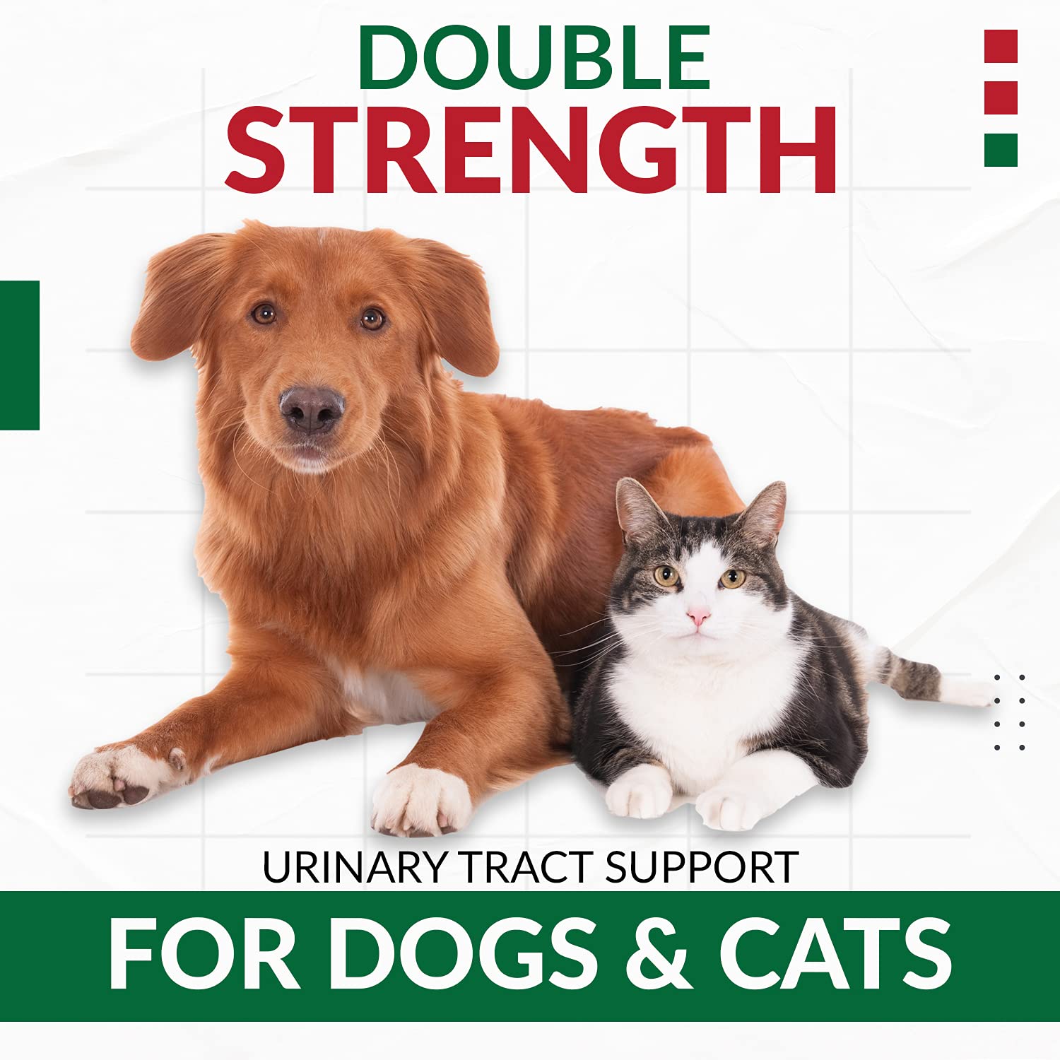 Pet Health Pharma Cranberry D-Mannose taste-test closeup highlighting palatable chews