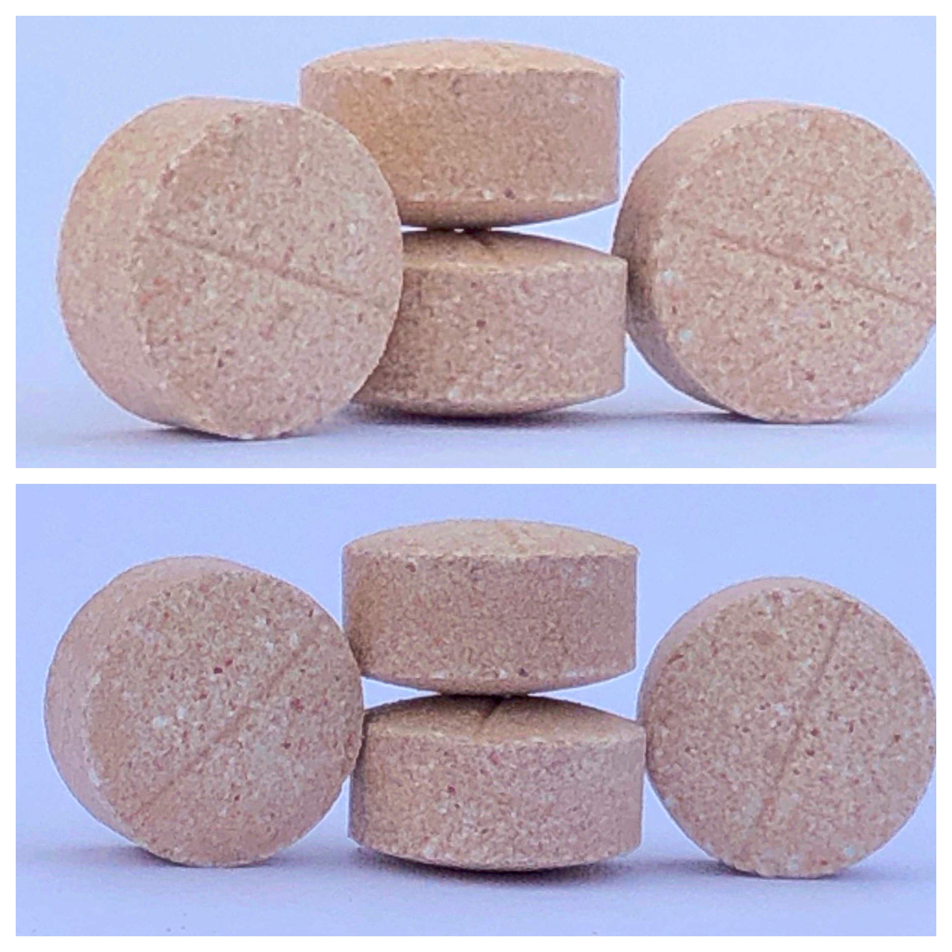 Pet Health Pharma packaging showing branding and dosage information