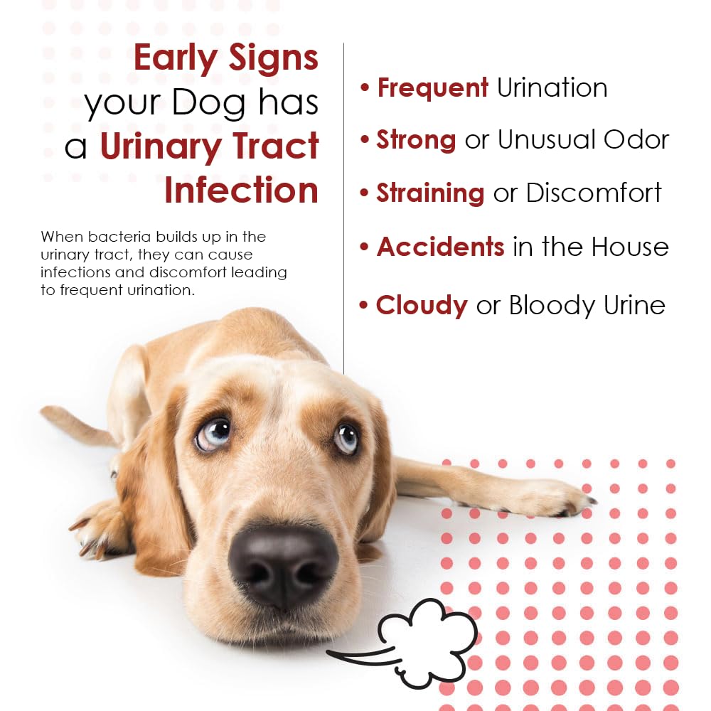 Pet Health Solutions cranberry-d-mannose for cats illustration emphasizing everyday urinary wellness