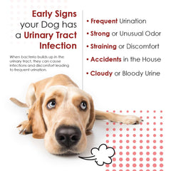 Pet Health Solutions Cranberry D-Mannose urinary-tract bottle showcases easy-take chews for dogs and cats.