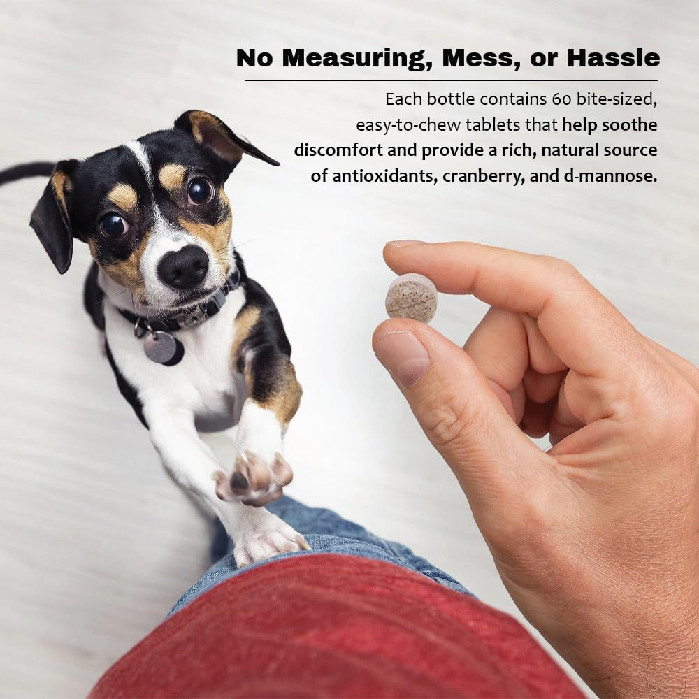 Pet Health Solutions vitamin C addition on tablet promoting overall wellness support