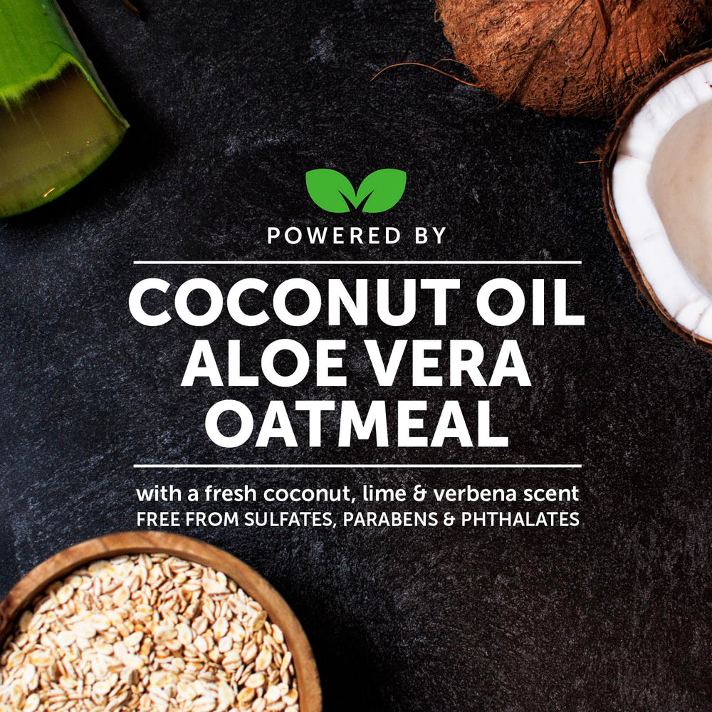 Pet Honesty ingredients close-up highlights oatmeal, aloe, and coconut oil for skin hydration.