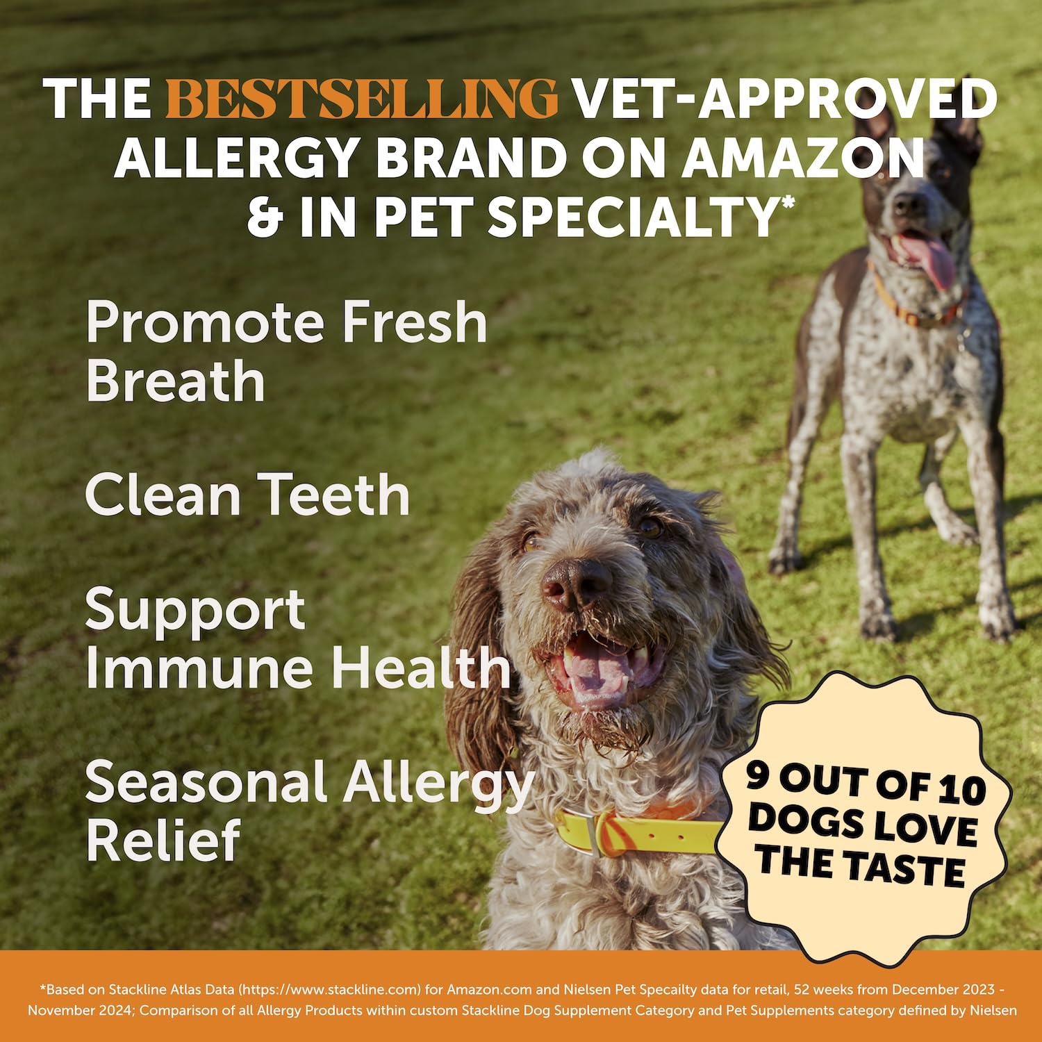 Pet Honesty Allergy Support Fresh Dental Sticks closeup shows ingredients supporting skin and immune balance.