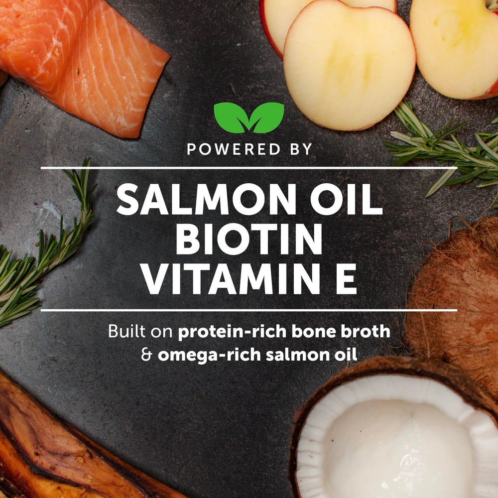 Pet Honesty bone broth salmon oil bowl highlights protein boost for dogs