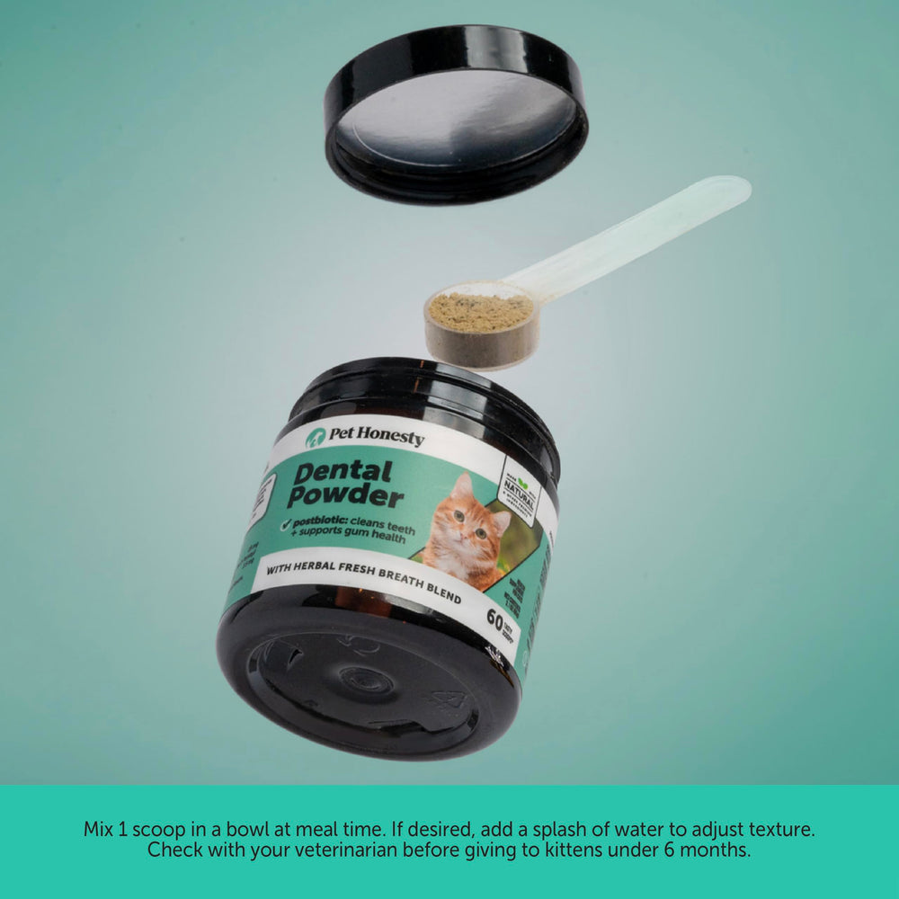 Pet Honesty breath-freshening powder near cat treats.