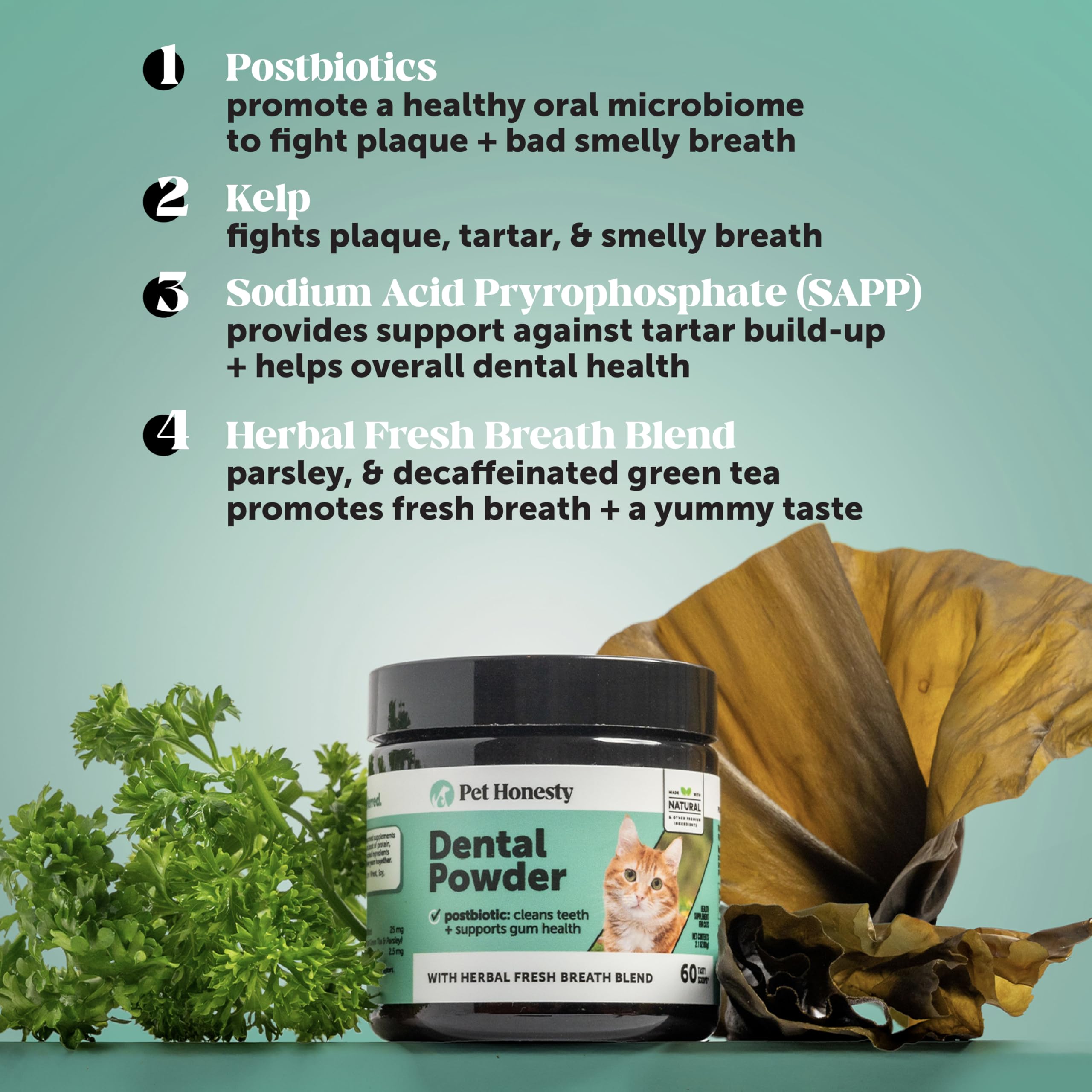 Pet Honesty dental powder on cat food for daily care.