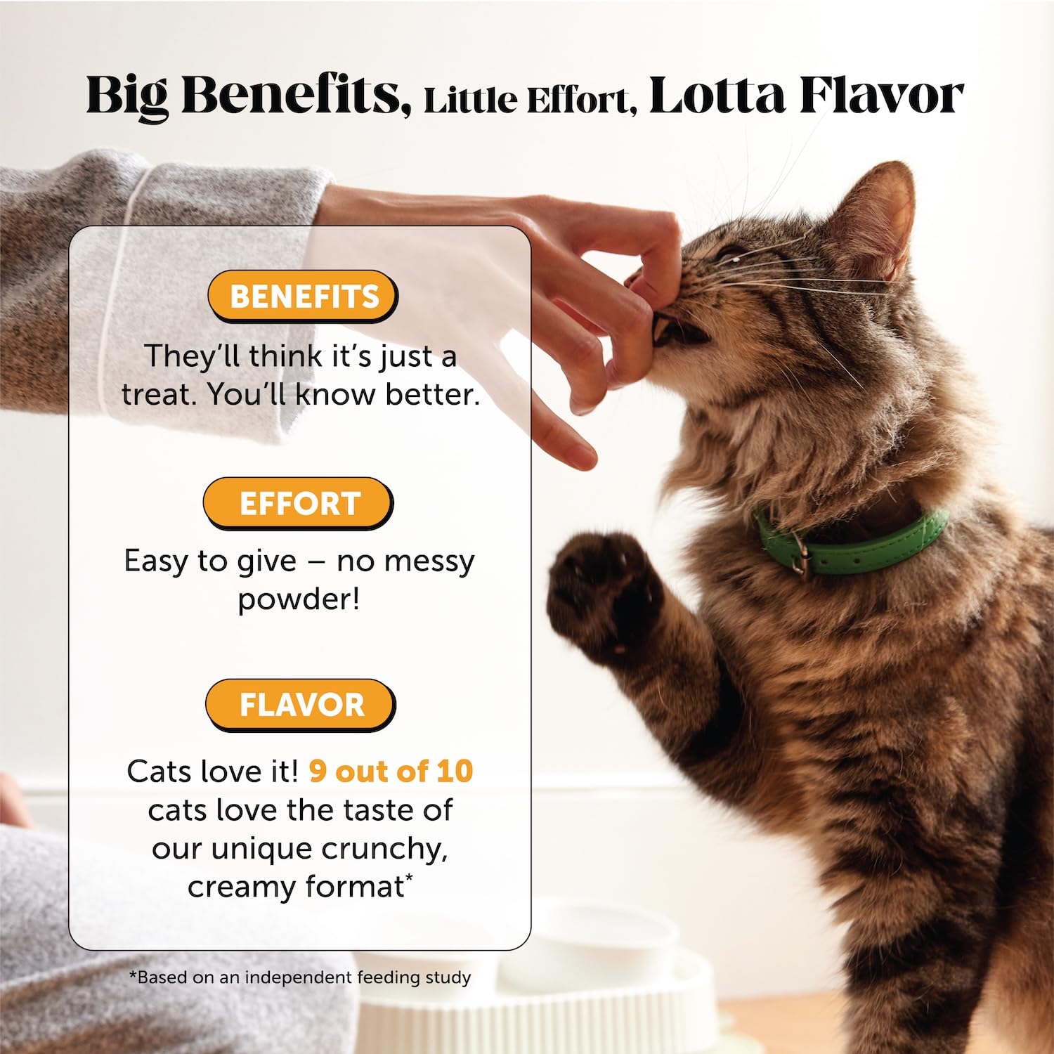 Pet Honesty Cat Immune Support Lysine ingredients list including L-Lysine