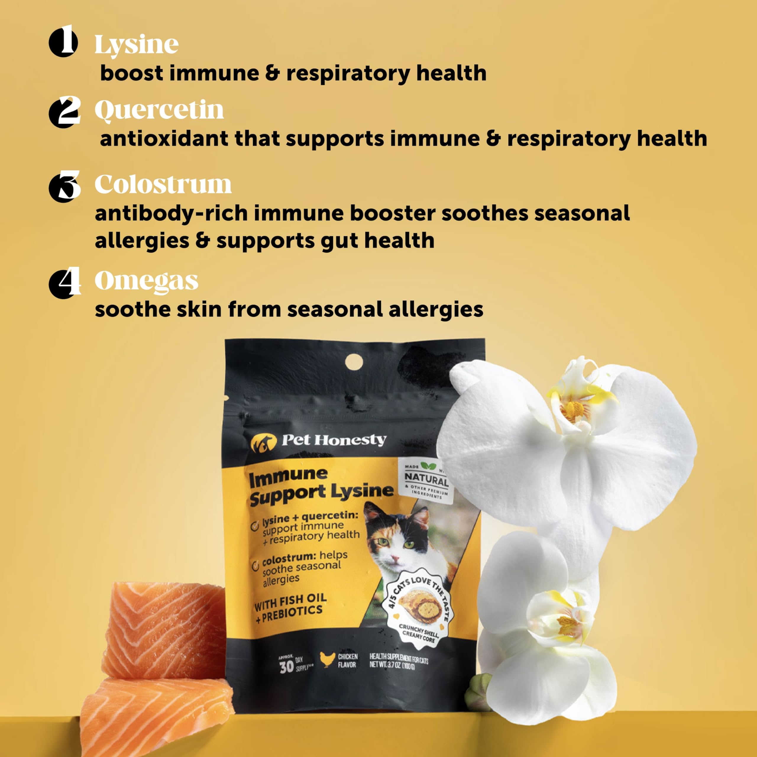 Pet Honesty Cat Immune Support Lysine serving on kibble for easy daily use