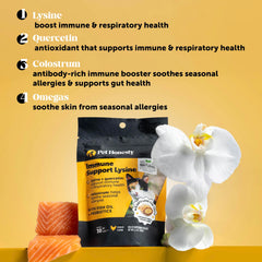 Pet Honesty Cat Immune Support Lysine serving on kibble for easy daily use