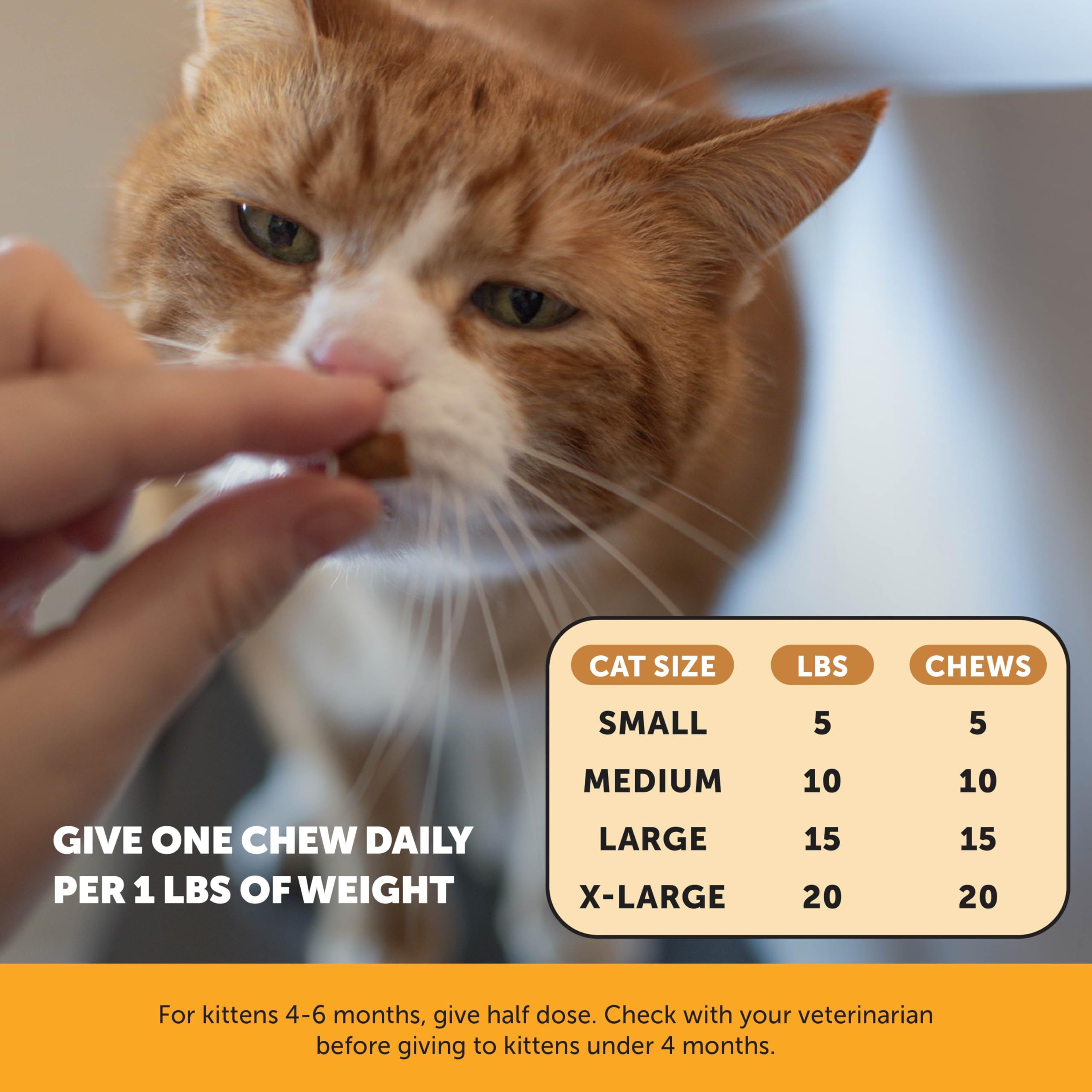 Pet Honesty Cat Immune Support Lysine vet-approved formula for pets