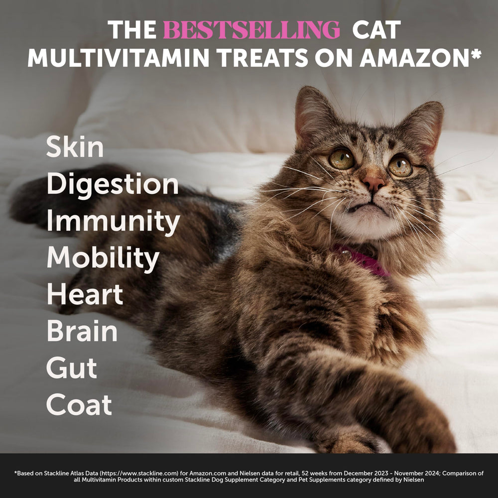 Pet Honesty Cat Multivitamin Chews crunchy-outside creamy-inside texture entices cats while supporting daily wellness