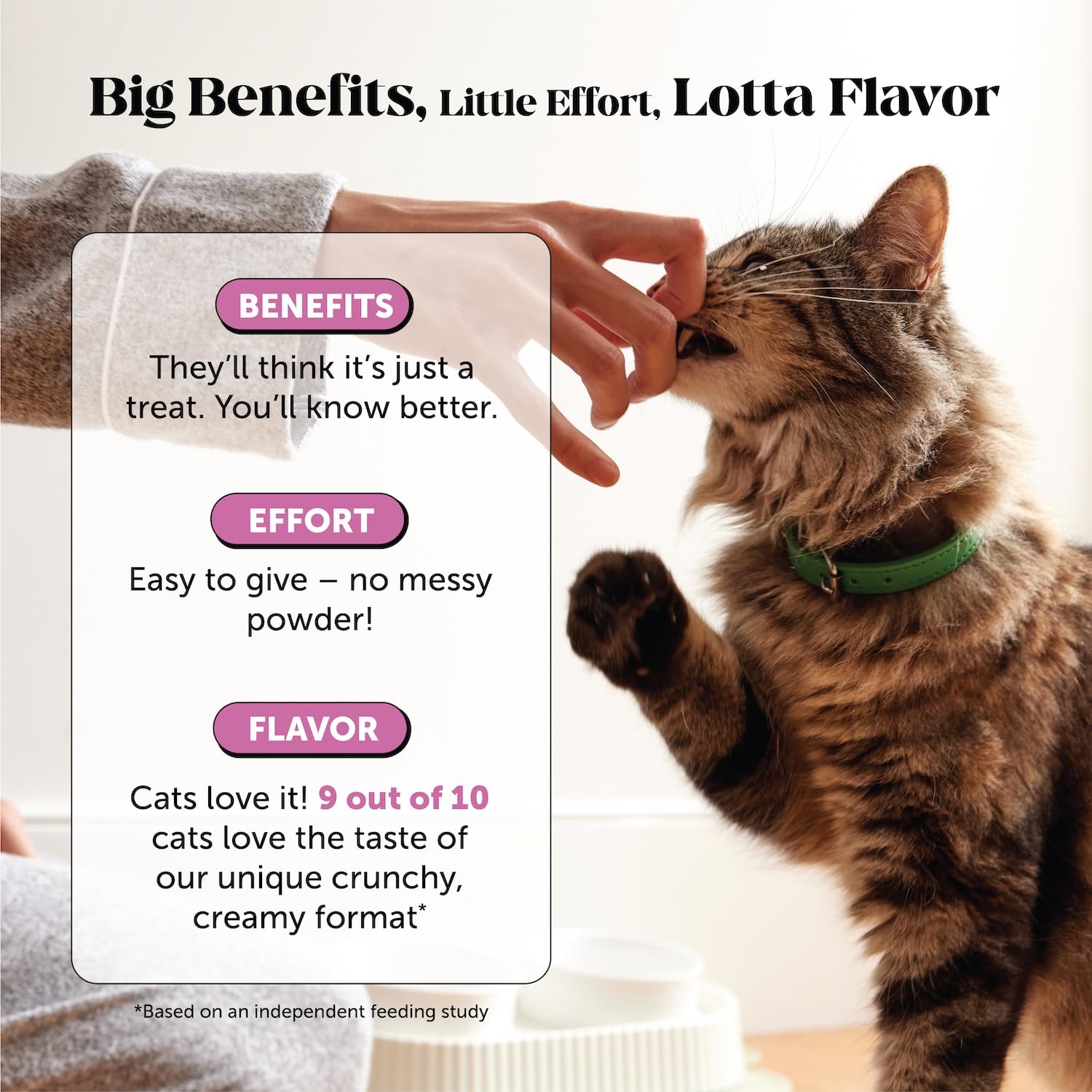 Pet Honesty Cat Multivitamin Chews supports skin and coat health through omega-3s