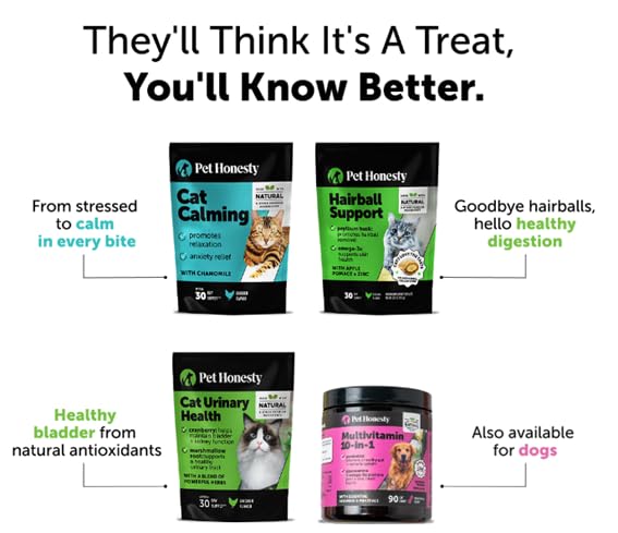 Pet Honesty Cat Multivitamin Chews ingredient highlights lysine beta glucan and omega-3s