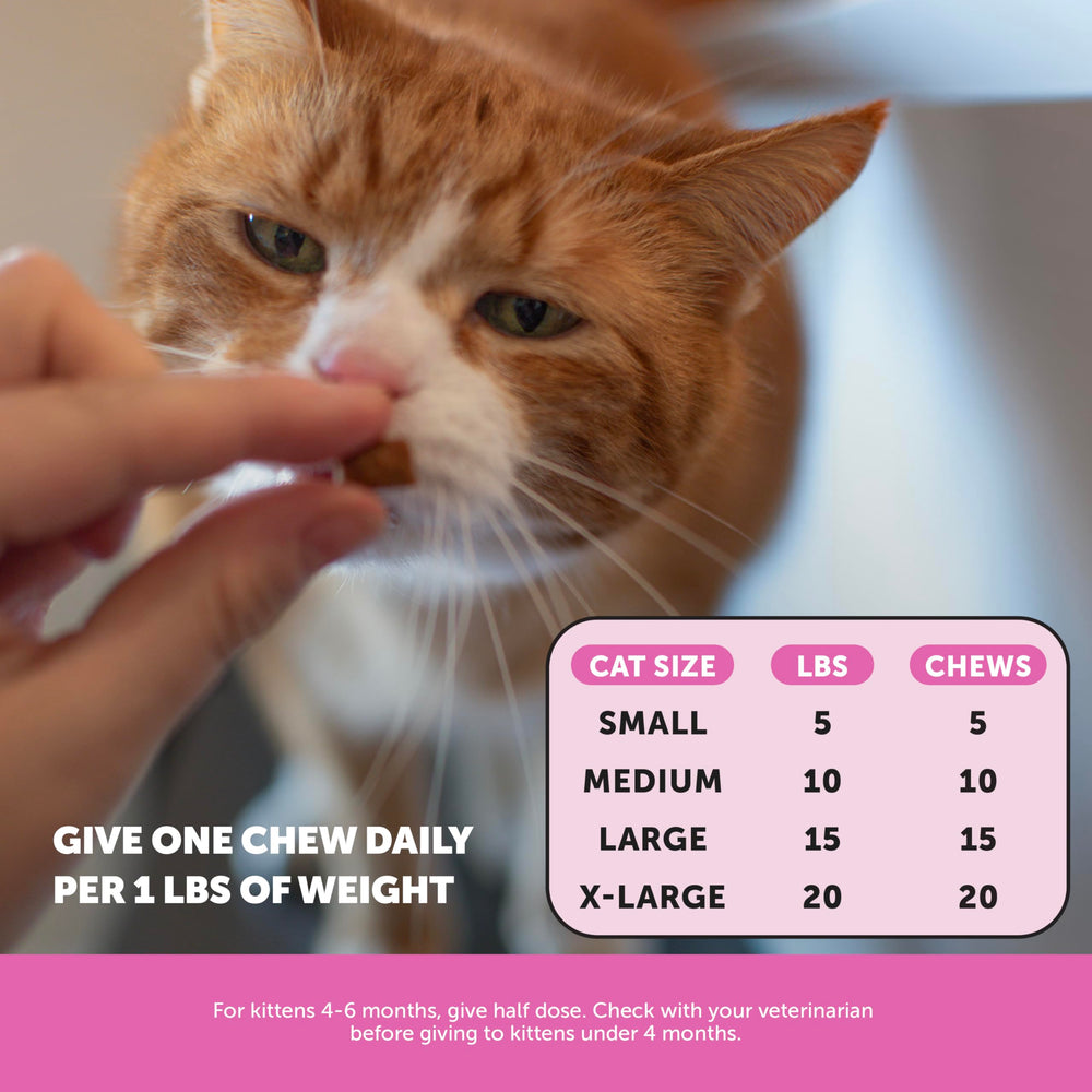 Pet Honesty Cat Multivitamin Chews helps immune health with lysine and omega-3s