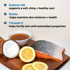 Pet Honesty collagen biotin vitamin E closeup emphasizes skin health benefits