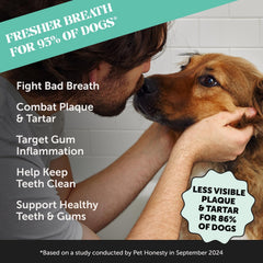 Pet Honesty dental powder spoon-dispense demonstrates quick dosing for dental care