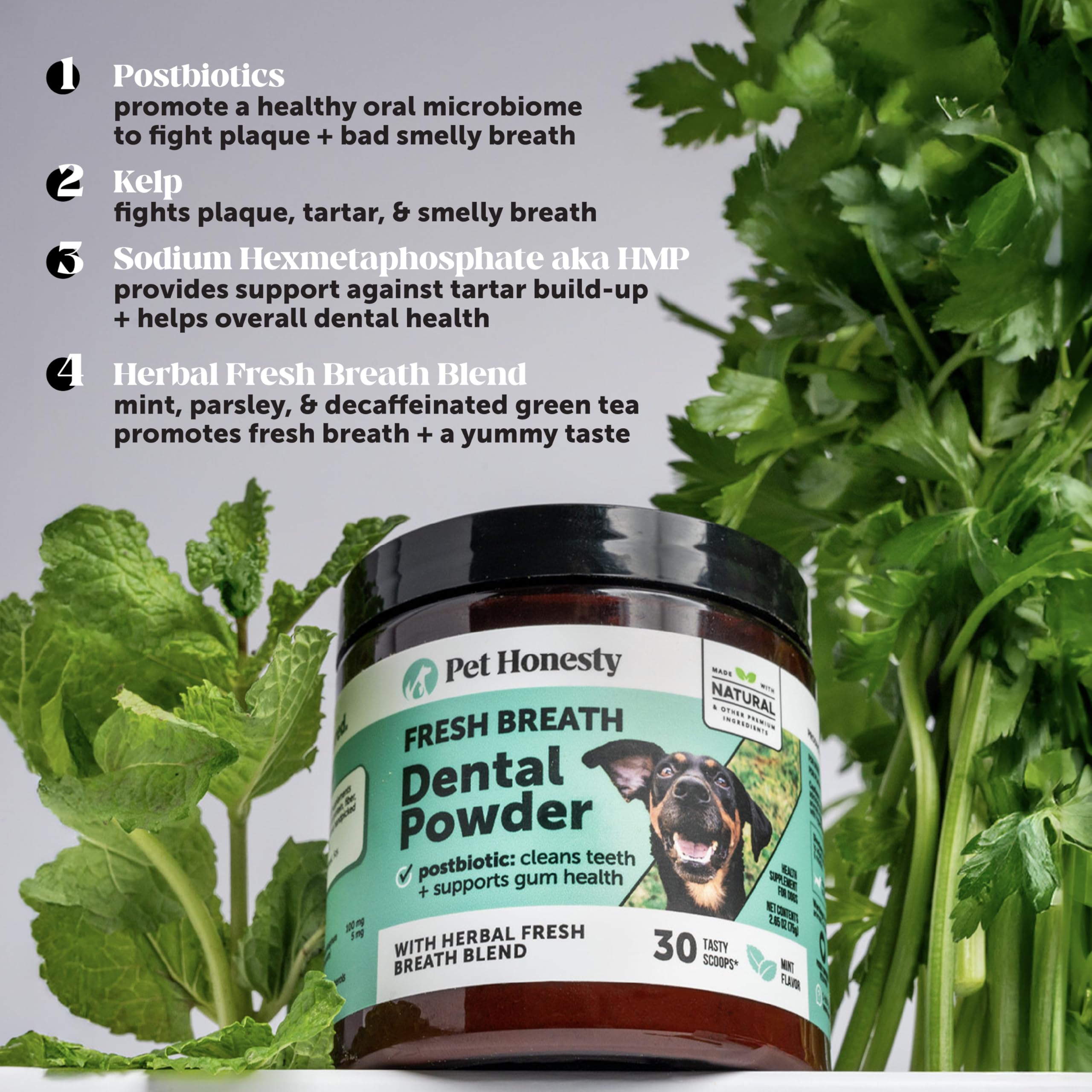 Pet Honesty dog breath before and after shows improved freshness.