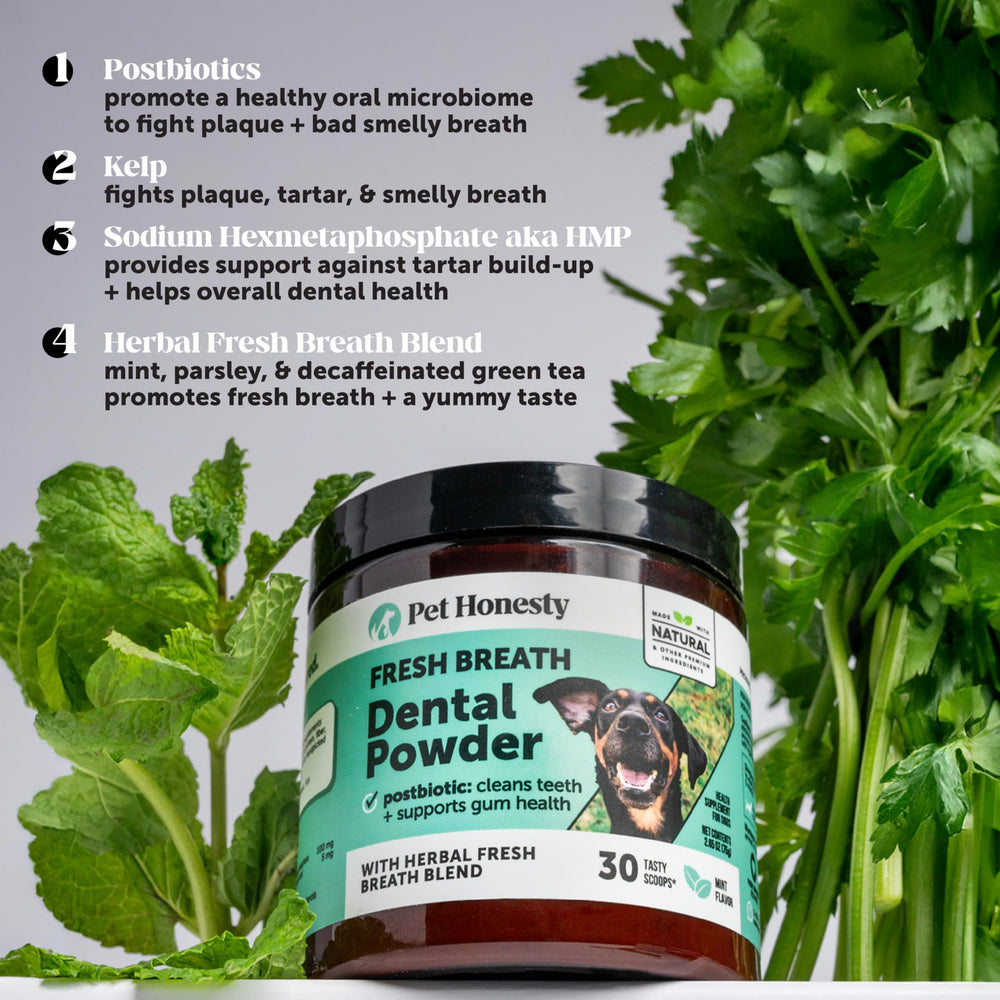 Pet Honesty dog breath before and after shows improved freshness.
