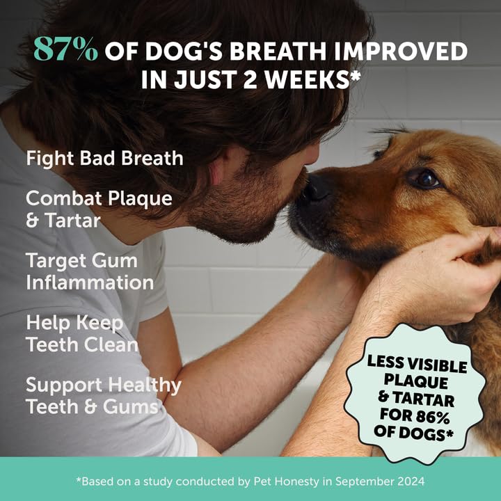 Pet Honesty dental powder bottle with scoop enabling simple daily sprinkling.