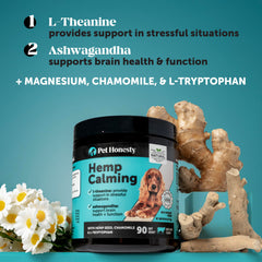 Pet Honesty dog eating calming chews demonstrates easy administration for anxious pets.