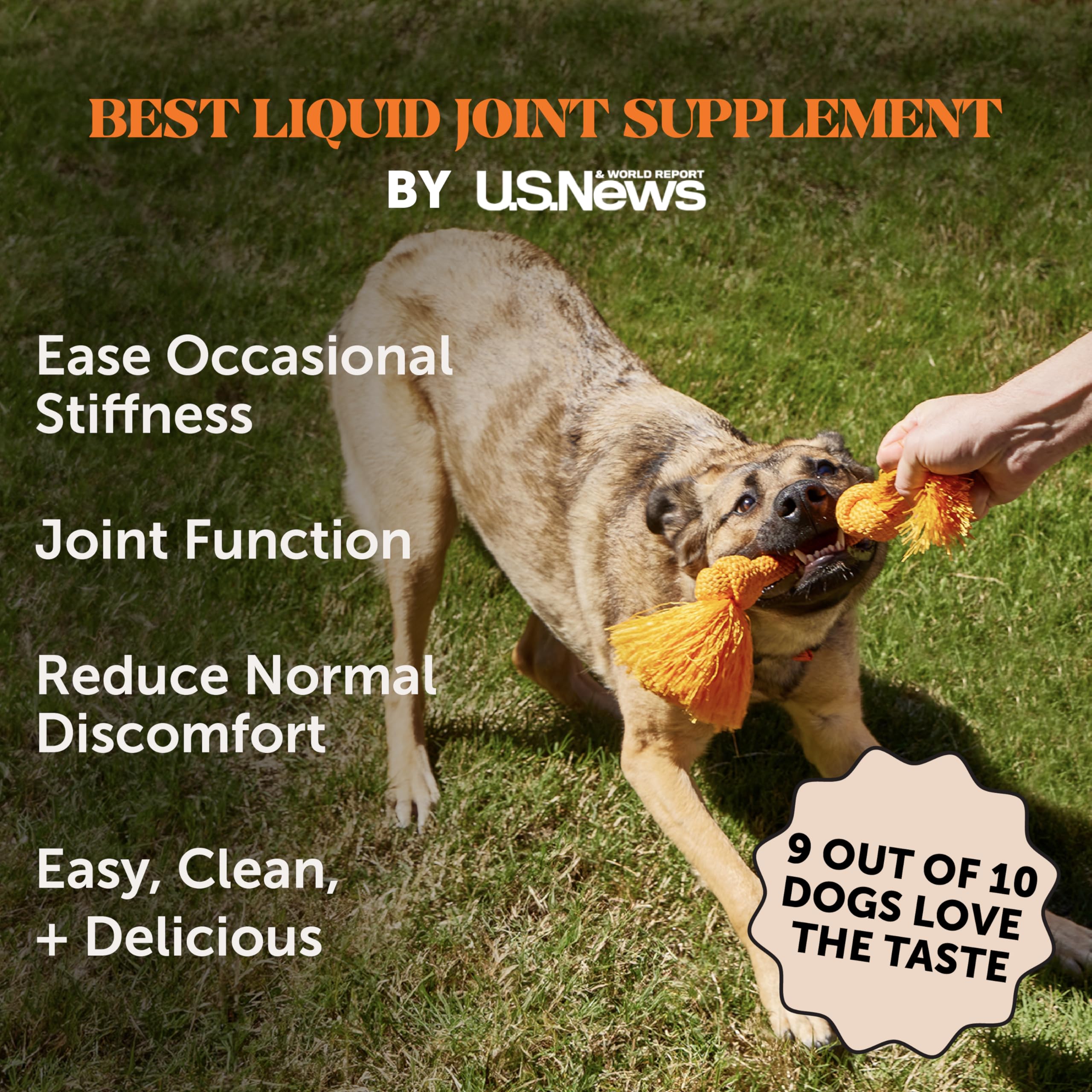 Pet Honesty dog joint supplement glucosamine chondroitin closeup highlights joint support.